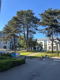 Cozy ensuite room near City Centre - Dublin - 9