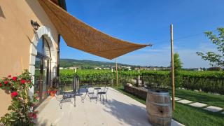Agriturismo Igino - Camere con vista sui vigneti - - Negrar - 6