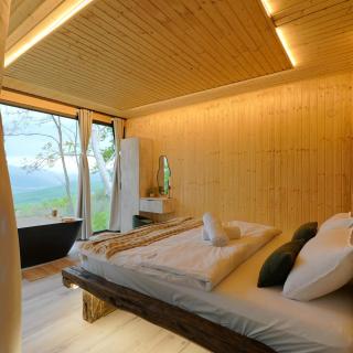 ForestView - - 4