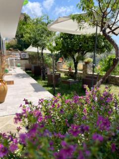 Borgo Dominici - Ortodonico - 5