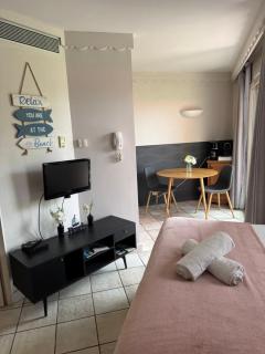 Appartement Le Beach du Lac d'Annecy avec les pieds dans l eau, plage et ponton privé - Duingt - 6