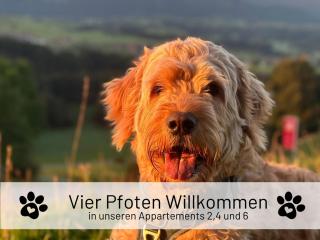 Hoimat Pfronten - Luxusappartements mit Sauna und Bergblick - Pfronten - 5
