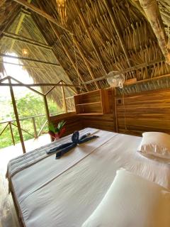 Finca Carpe Diem Ecolodge - Minca - 2