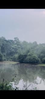 Anya Retreats Nature Homestay - Kushālnagar - 6