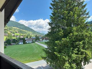 SKI & SPA Family Apartment Bad Kleinkirchheim - Bach - 9