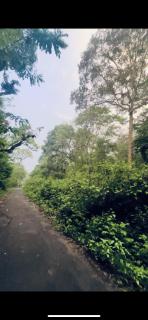 Anya Retreats Nature Homestay - Kushālnagar - 7