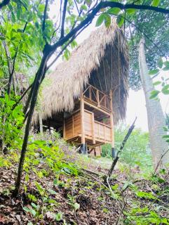Finca Carpe Diem Ecolodge - Minca - 4