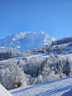 Chalet Double M I Le Chalet Club - Combloux - 5