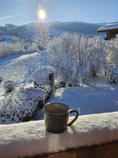 Chalet Double M I Le Chalet Club - Combloux - 2