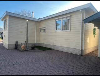 Vive - Putten - 2