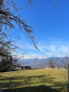 Bohinj Countryside House - Bohinjska Bistrica - 0