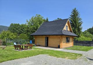 Wilkowiana - Wilkowice - 9