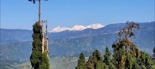 SAABY HoMESTAY - Kurseong - 0