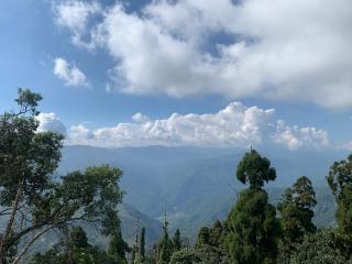 SAABY HoMESTAY - Kurseong - 7