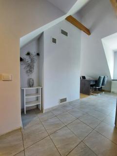 Fryko apartamentai Kaune - Kaunas - 7