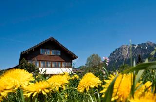 ALPGLÜCK Ferienwohnungen - Oberstdorf - 6