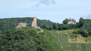 Ferienwohnung Schneider - Bernkastel-Kues - 6