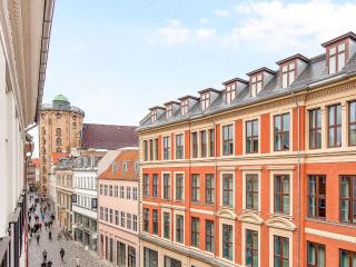Sanders Leaves - Pleasant Four-Bedroom Apartment In Downtown Copenhagen - Copenaghen - 9