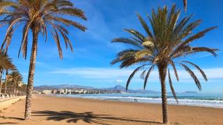 ESTUDIO DE LUJO en primera línea Playa Muchavista - San Vicente del Raspeig - 2