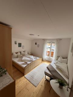 Haus Sepp Finkenberg - Finkenberg - 1