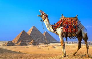 Magic golden pyramids view - Kairo - 3