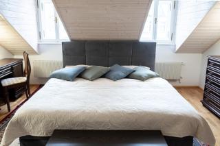 Spa Jewel - Stylish Flat in the Center! with Sauna - Karlovy Vary - 5