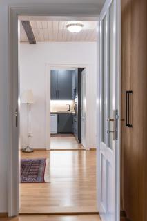 Spa Jewel - Stylish Flat in the Center! with Sauna - Karlovy Vary - 3