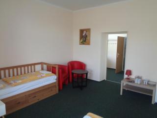 Hotel U Lázní - ubytování pro nenáročné - Ostrožská Nová Ves - 2