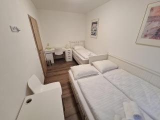 Exclusive APARTMENT Lipno Wellness & SPA - Frymburk - 5