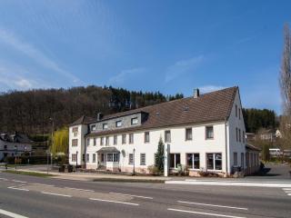 Big Holiday Home near Monschau in the Eifel Nationalpark with a terrace and bar - Schleiden - 3