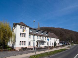 Big Holiday Home near Monschau in the Eifel Nationalpark with a terrace and bar - Schleiden - 8