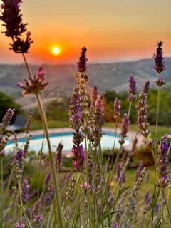 Refugium VERITAS - entire Villa with Pool - Cupramontana - 9