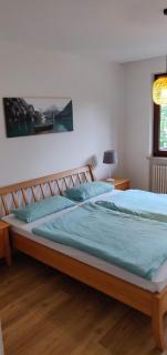 Ferienwohnung Predigtstuhlblick - Bad Reichenhall - 1