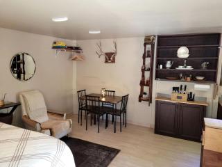 Unique Cabin Rental in Colorado for a Weekend Getaway in the USA - 5