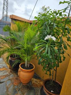 Oswaldland Residence - Accra - 5