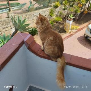 Sicilia Meraviglia B&B - Fontane Bianche - 9