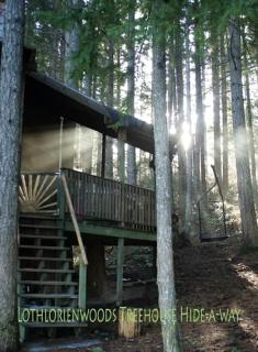 Tree House Style Cabin Nestled at the Foot of Scenic Snow-Capped Mt. Adams, Washington - Snowden - 9