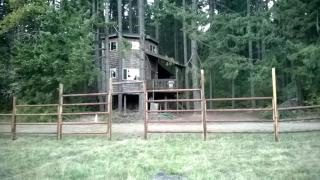 Tree House Style Cabin Nestled at the Foot of Scenic Snow-Capped Mt. Adams, Washington - Snowden - 7