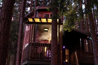 Tree House Style Cabin Nestled at the Foot of Scenic Snow-Capped Mt. Adams, Washington - Snowden - 6