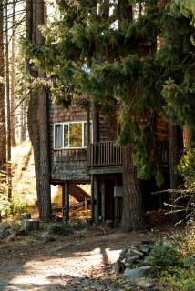 Tree House Style Cabin Nestled at the Foot of Scenic Snow-Capped Mt. Adams, Washington - Snowden - 5