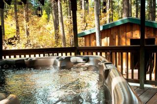Tree House Style Cabin Nestled at the Foot of Scenic Snow-Capped Mt. Adams, Washington - Snowden - 3