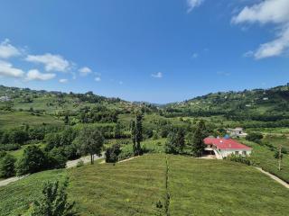 Trabzon rize - Of - 7