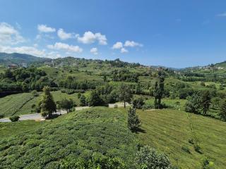 Trabzon rize - Of - 5