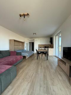 Slnečný apartmán s predzáhradou Pasohlávky - Pasohlávky - 1