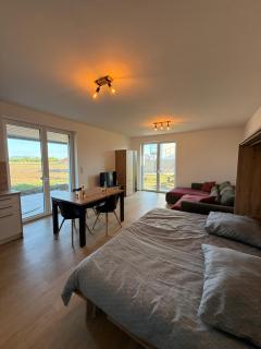 Slnečný apartmán s predzáhradou Pasohlávky - Pasohlávky - 5