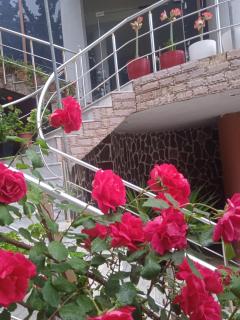 Hotel Moris - 1