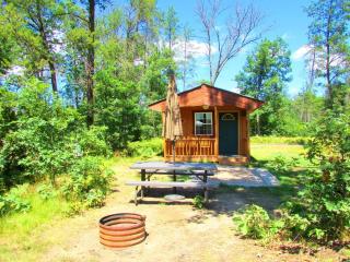 Secluded Pet-Friendly Cabin in the Woodlands near Reed City, Michigan - Irons - 0