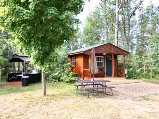 Secluded Pet-Friendly Cabin in the Woodlands near Reed City, Michigan - Irons - 8