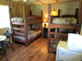 Secluded Pet-Friendly Cabin in the Woodlands near Reed City, Michigan - Irons - 7