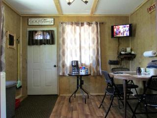 Secluded Pet-Friendly Cabin in the Woodlands near Reed City, Michigan - Irons - 6